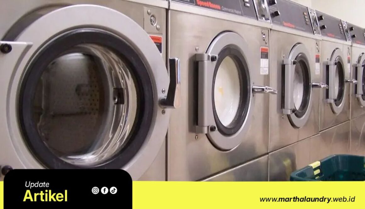 Martha Laundry Artikel2